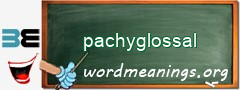 WordMeaning blackboard for pachyglossal